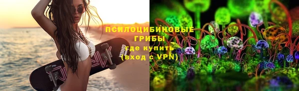 крисы Корсаков