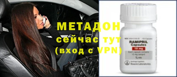 шишки Верея
