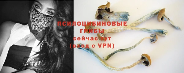 гидропоника Каменка