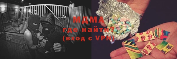 шишки Верея