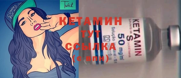 шишки Верея