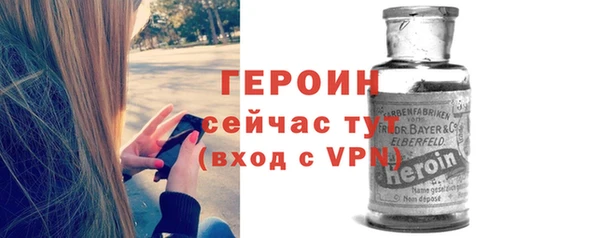шишки Верея
