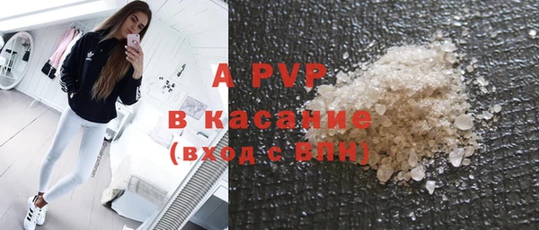 шишки Верея