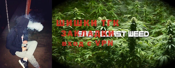 шишки Верея