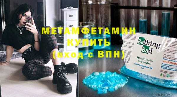 шишки Верея