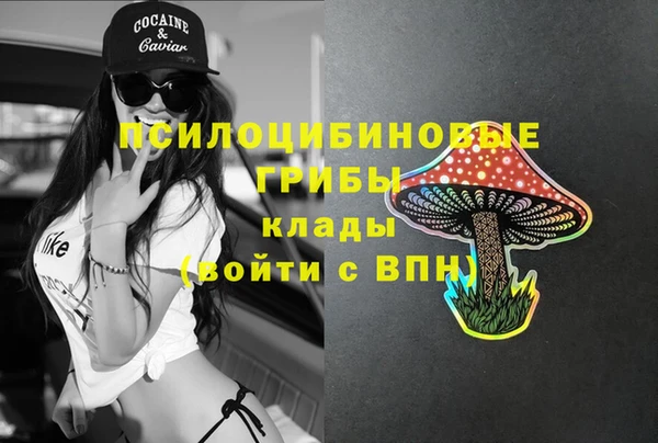 2c-b Зеленокумск