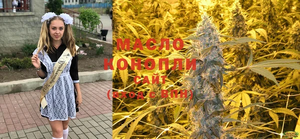 шишки Верея