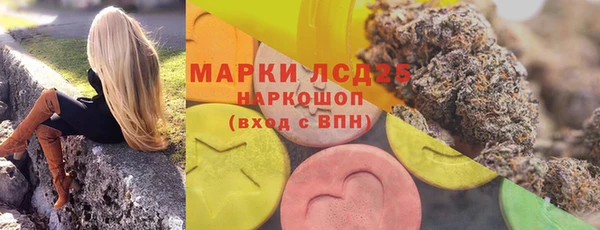 шишки Верея