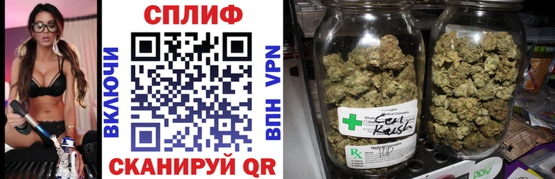где купить наркоту  Лукоянов  Марихуана сатива 